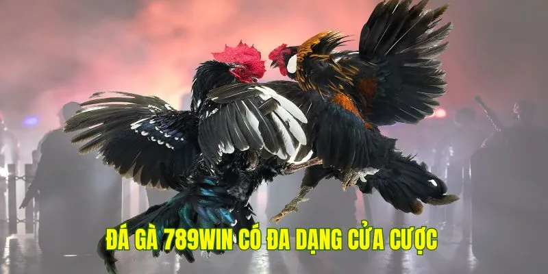 Đá gà 789Win có đa dạng cửa cược cho người tham gia lựa chọn